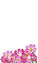 [flowers.gif]